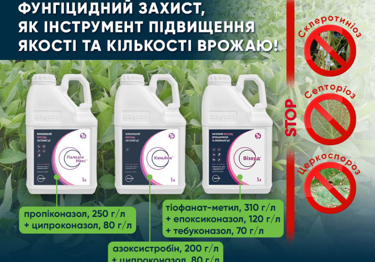 Эффективная защита сои от болезней в фазе бутонизации – цветения (ВВСН 51–65) от Vitagro Partner