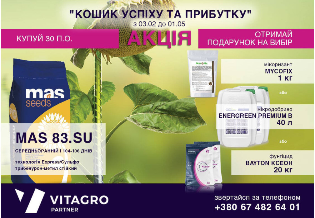 Акционное предложение "Корзинка успеха и прибыли"