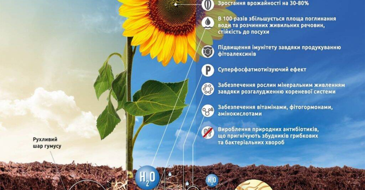 Унікальний мікоризний інокулянт Mycofix - тепер в Україні