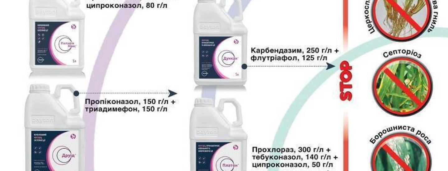 Ранньовесняні хвороби озимої пшениці та методи їх контролю в 2023 році