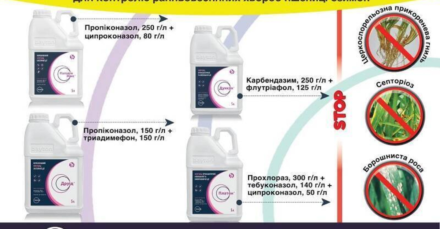 Ранневесенние болезни озимой пшеницы и методы их контроля в 2023 году