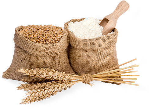 ПРОДУКЦІЯ VITAGRO