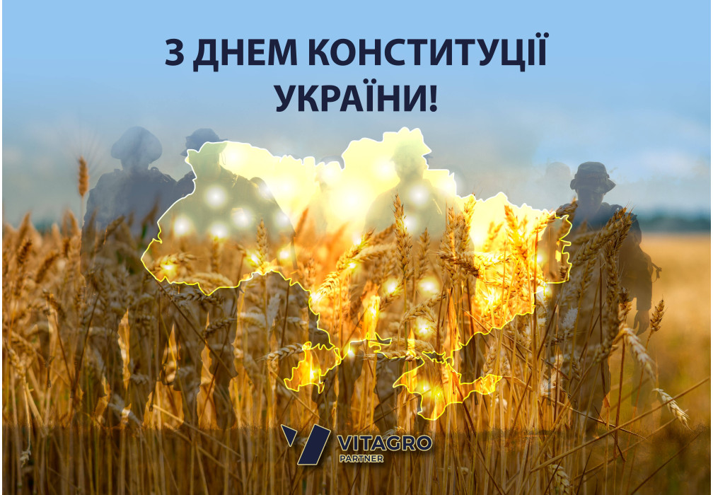 Сегодня День Конституции Украины