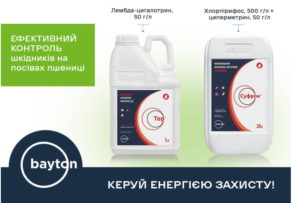 Контроль шкідників на посівах пшениці в осінній період вегетації