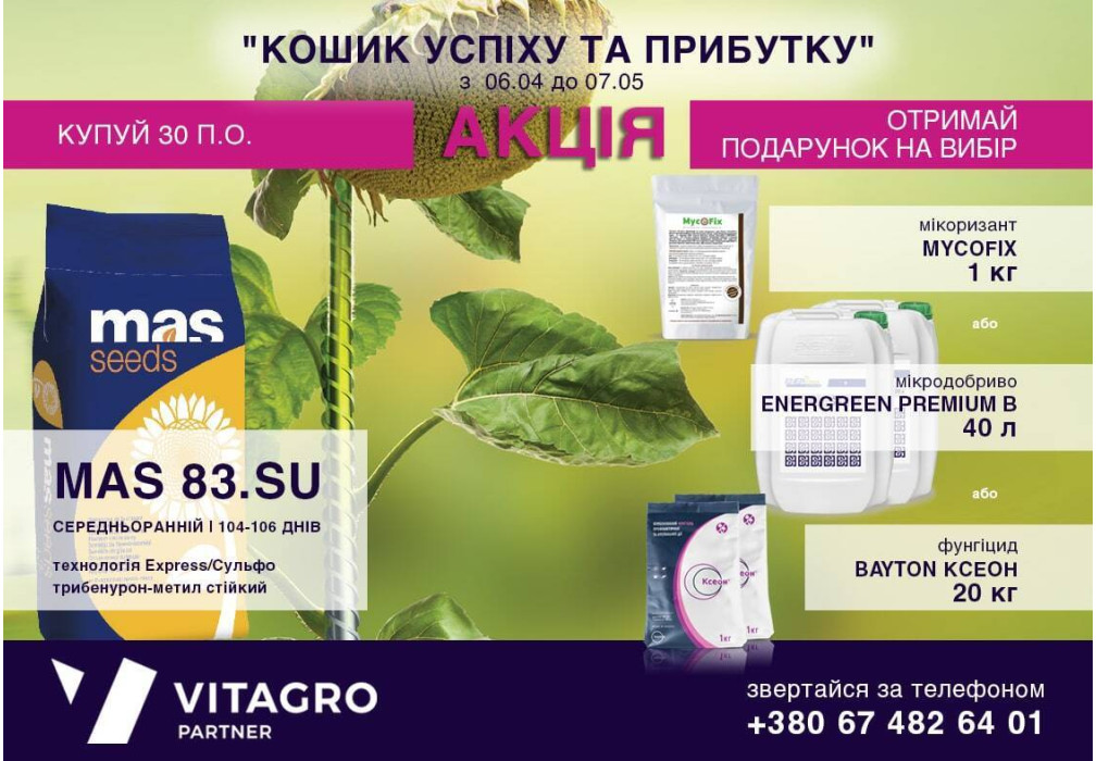 Специальное предложение "Корзинка успеха и прибыли"
