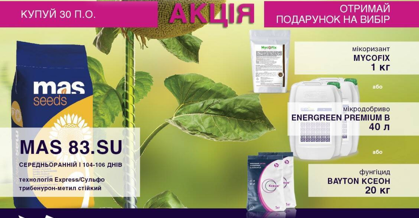 Специальное предложение "Корзинка успеха и прибыли"