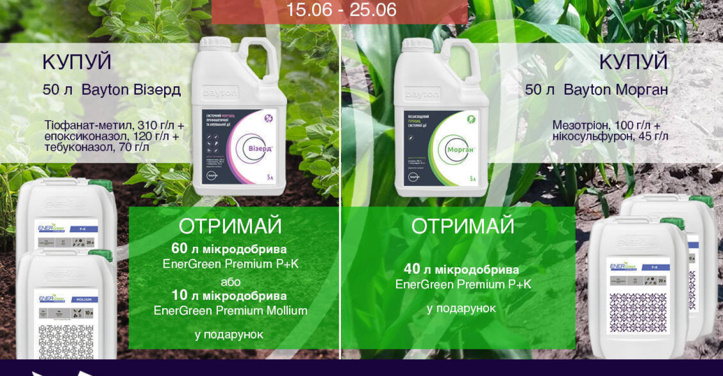 Специальное предложение "Активируй защиту"
