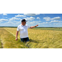 Компанія продовжує посилювати свою присутність у регіонах України