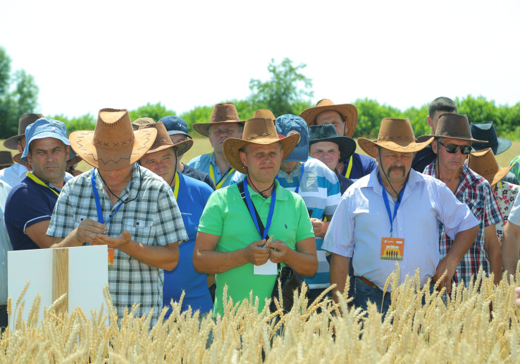 Vitagro Partner провела День поля в пгт. Козелець