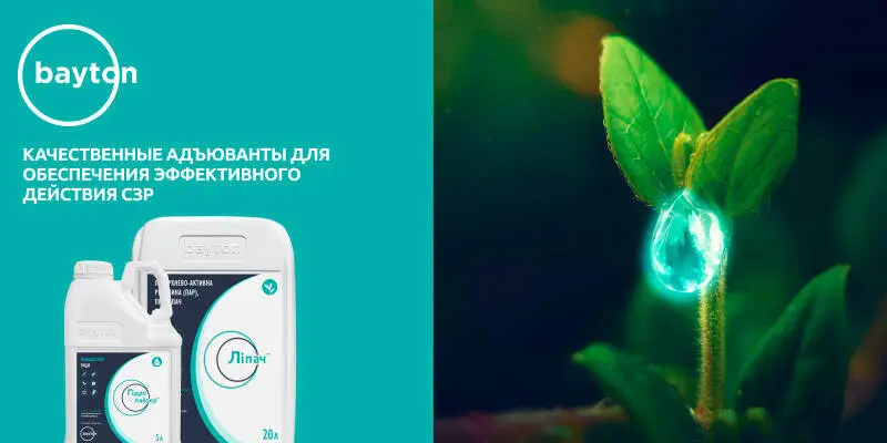 Препараты для эффективного усвоения СЗР и внекорневых удобрений растениями 