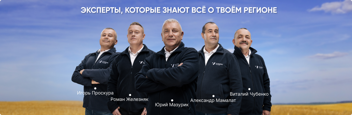  Эксперты, знающие все о твоем регионе