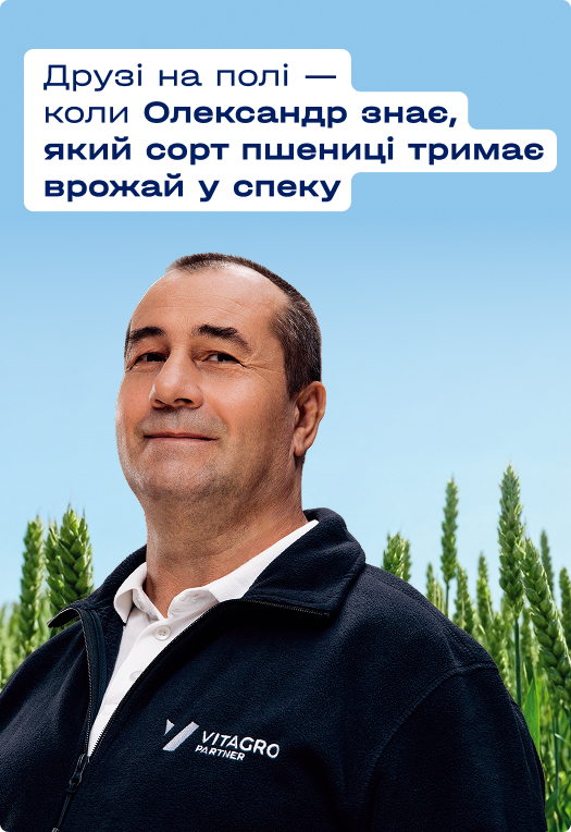 Александр Мамалат